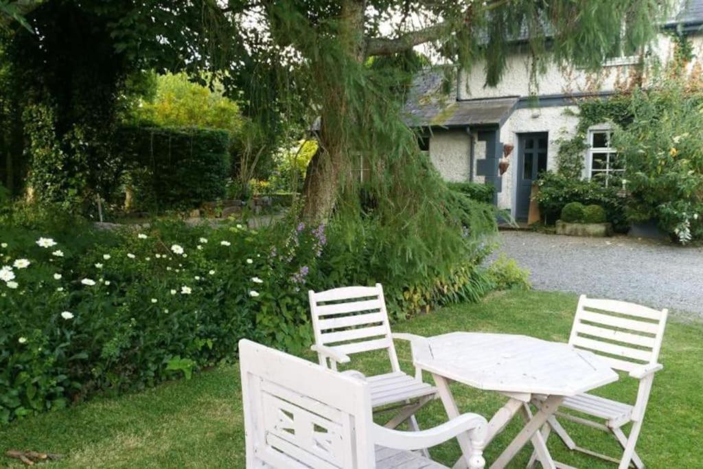 The Old Goathouse Hotell Kildare Eksteriør bilde